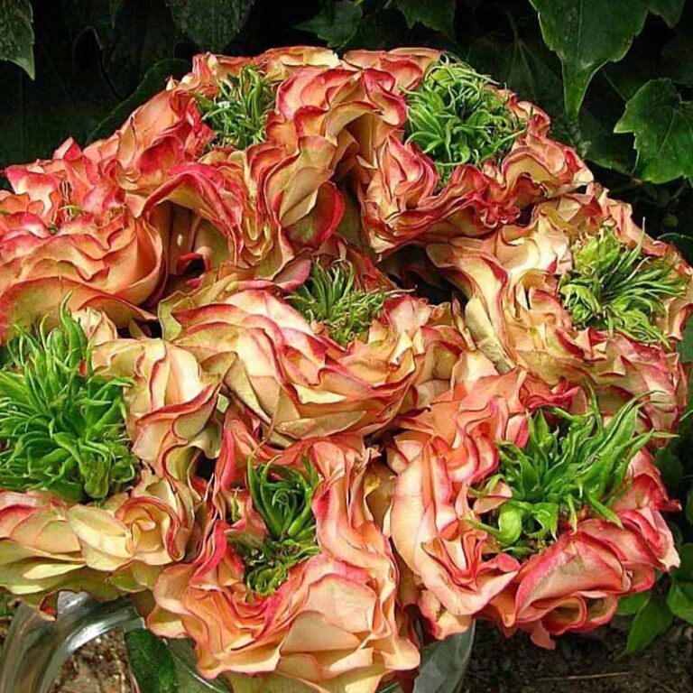 Мата Хари в Саратове