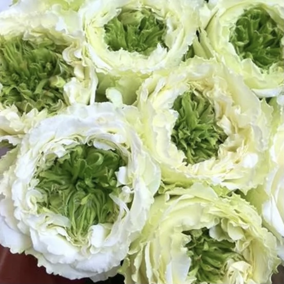 Грин Ай в Саратове