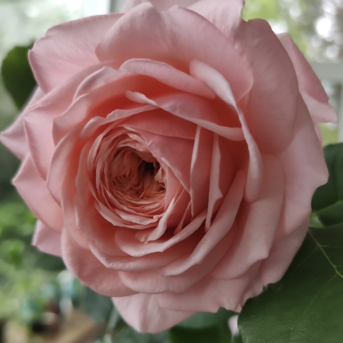 Квинси Джонс в Саратове