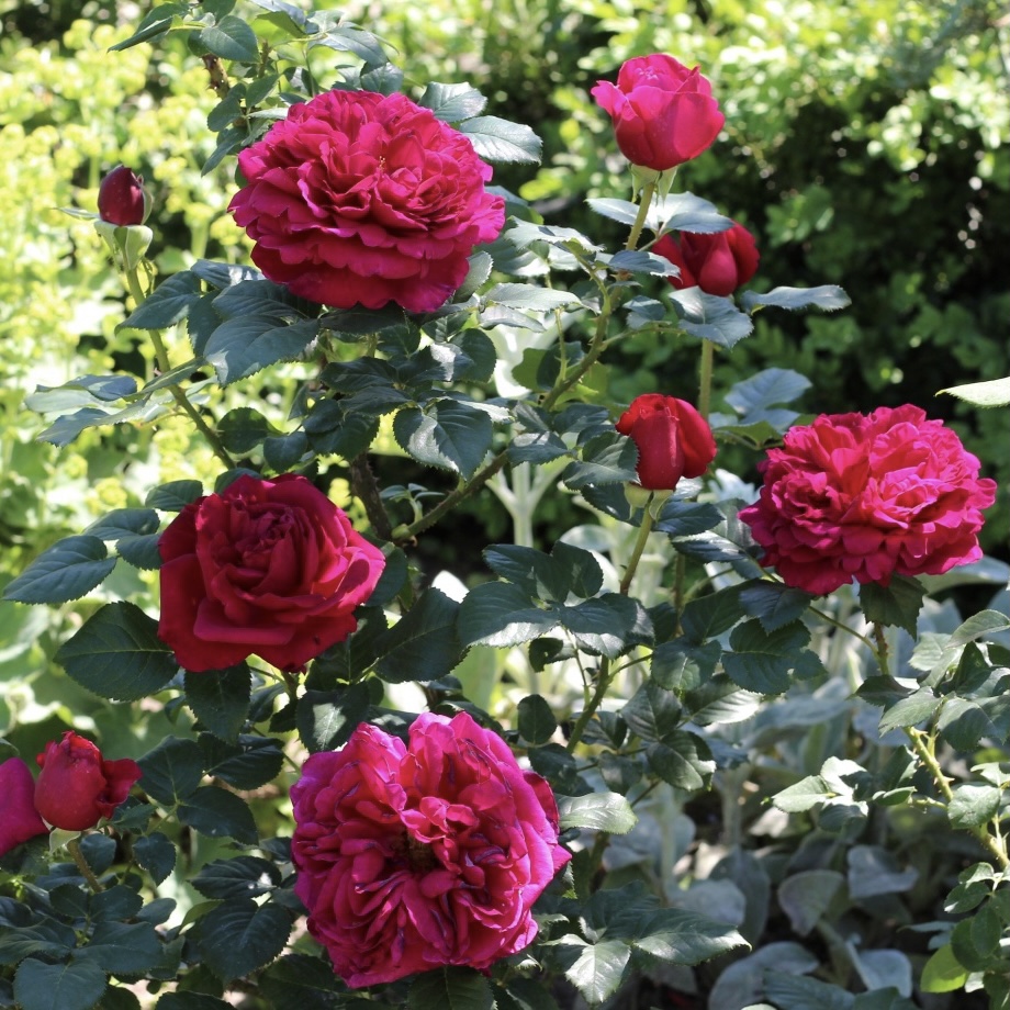 Фишерман Френд в Саратове