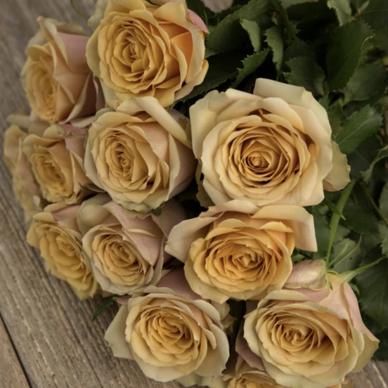 Голден Мустард (Golden Mustard) в Саратове